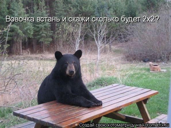 Вовочка встань и скажи сколько будет 2х2?... Котоматрица: Вовочка встань и скажи сколько будет 2х2?
