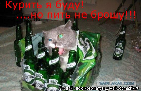 Курить я буду! ....но пить не брошу!!!... Котоматрица: Курить я буду! ....но пить не брошу!!!
