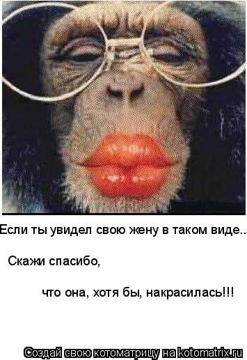 Если ты увидел свою жену в таком виде... Скажи спасибо, что она, хотя бы, накрасилась!!!... Котоматрица: Если ты увидел свою жену в таком виде... Скажи спасибо, что она, хотя бы, накрасилась!!!