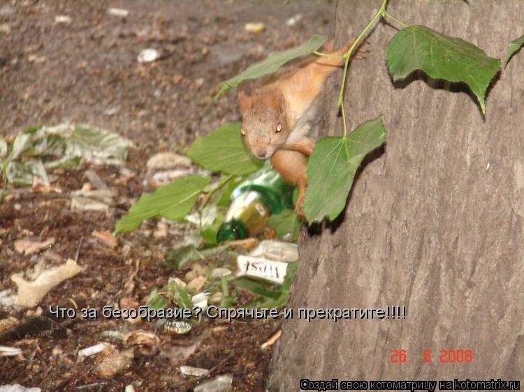Что за безобразие? Спрячьте и прекратите!!!!... Котоматрица: Что за безобразие? Спрячьте и прекратите!!!!