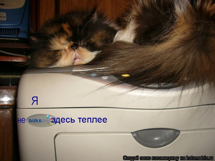 Я не здесь теплее... Котоматрица: Я не здесь теплее