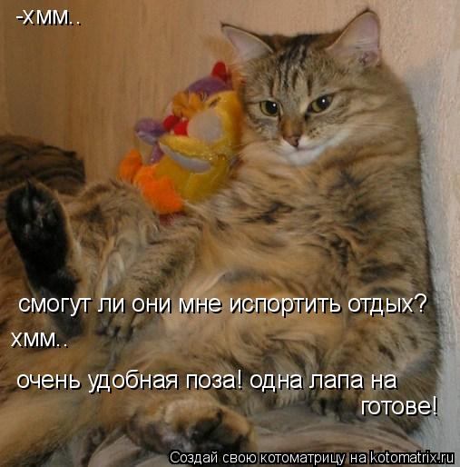-хмм.. смогут ли они мне испортить отдых? хмм.. очень удобная поза! одна лапа на готове!... Котоматрица: -хмм.. смогут ли они мне испортить отдых? хмм.. очень удобная поза! одна лапа на готове!