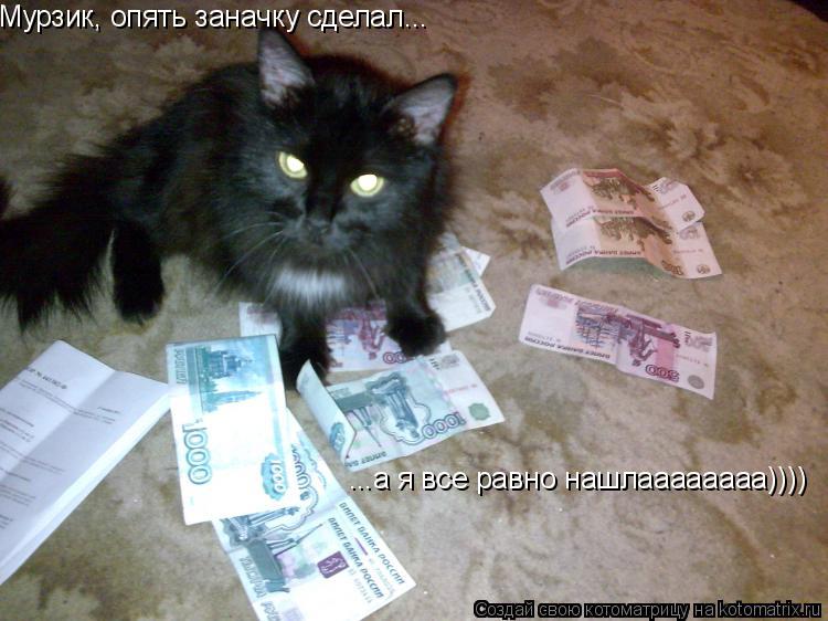 Мурзик, опять заначку сделал... ...а я все равно нашлаааааааа))))... Котоматрица: Мурзик, опять заначку сделал... ...а я все равно нашлаааааааа))))