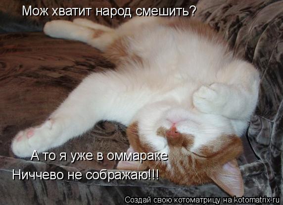 Мож хватит народ смешить? А то я уже в оммараке Ниччево не сображаю!!!... Котоматрица: Мож хватит народ смешить? А то я уже в оммараке Ниччево не сображаю!!!