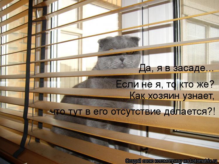 Да, я в засаде... Если не я, то кто же? Как хозяин узнает, что тут в его отсутствие делается?!... Котоматрица: Да, я в засаде... Если не я, то кто же? Как хозяин узнает, что тут в его отсутствие делается?!