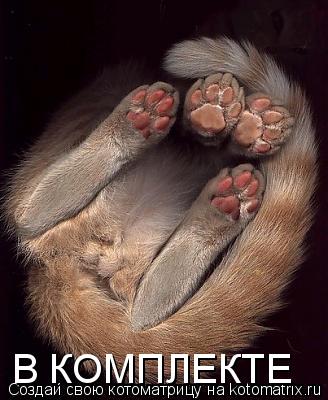 В КОМПЛЕКТЕ... Котоматрица: В КОМПЛЕКТЕ