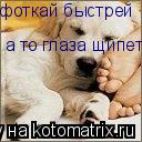 фоткай быстрей а то глаза щипет... Котоматрица: фоткай быстрей а то глаза щипет