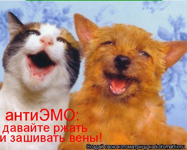 антиЭМО: давайте ржать и зашивать вены!... Котоматрица: антиЭМО: давайте ржать и зашивать вены!