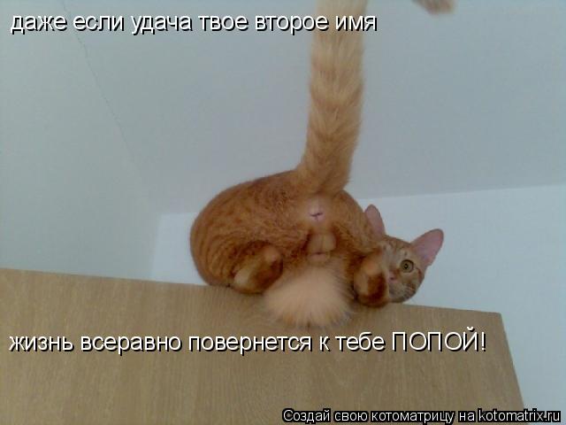 даже если удача твое второе имя жизнь всеравно повернется к тебе ПОПОЙ!... Котоматрица: даже если удача твое второе имя жизнь всеравно повернется к тебе ПОПОЙ!
