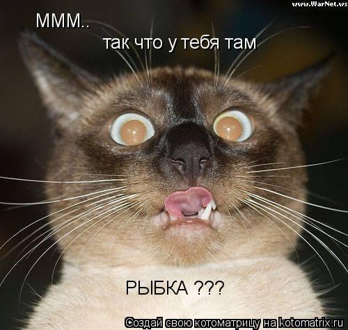 МММ.. так что у тебя там РЫБКА ???... Котоматрица: МММ.. так что у тебя там РЫБКА ???