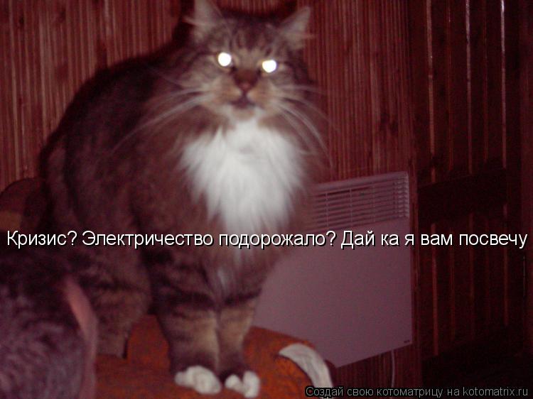 Кризис? Электричество подорожало? Дай ка я вам посвечу ...... Котоматрица: Кризис? Электричество подорожало? Дай ка я вам посвечу ...