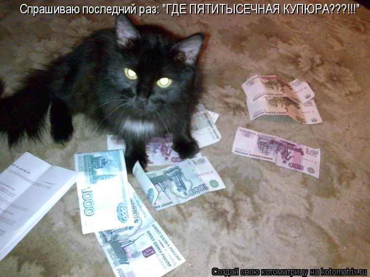 Спрашиваю последний раз: "ГДЕ ПЯТИТЫСЕЧНАЯ КУПЮРА???!!!"... Котоматрица: Спрашиваю последний раз: "ГДЕ ПЯТИТЫСЕЧНАЯ КУПЮРА???!!!"