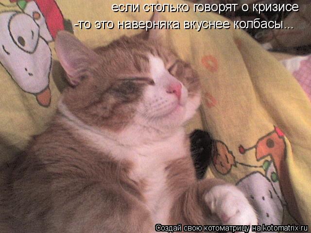 если столько говорят о кризисе -то это наверняка вкуснее колбасы...... Котоматрица: если столько говорят о кризисе -то это наверняка вкуснее колбасы...