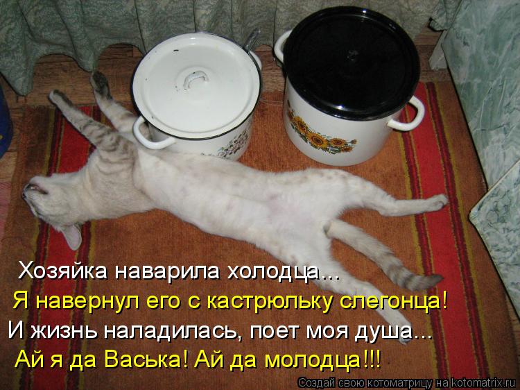Хозяйка наварила холодца... Я навернул его с кастрюльку слегонца! И жизнь наладилась, поет моя душа..... Котоматрица: Хозяйка наварила холодца... Я навернул его с кастрюльку слегонца! И жизнь наладилась, поет моя душа... Ай я да Васька! Ай да молодца!!!