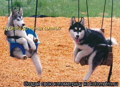 Ну,скока до конца смены?... Котоматрица: Ну,скока до конца смены?