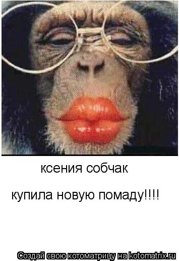 ксения собчак купила новую помаду!!!!... Котоматрица: ксения собчак купила новую помаду!!!!