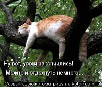 Можно и отдохнуть немного... Можно и отдохнуть немного... Ну вот, уроки закончились!... Котоматрица: Можно и отдохнуть немного... Можно и отдохнуть немного... Ну вот, уроки закончились!