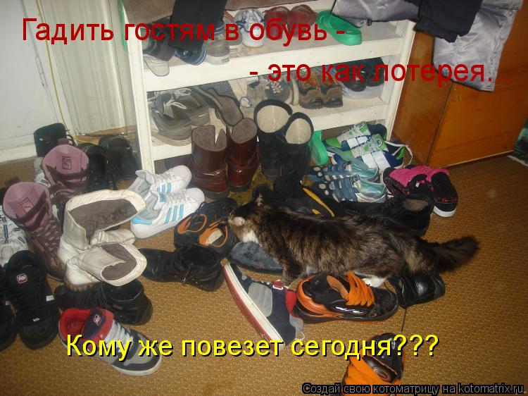 Кому же повезет сегодня??? - это как лотерея... Гадить гостям в обувь -... Котоматрица: Кому же повезет сегодня??? - это как лотерея... Гадить гостям в обувь -