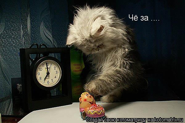 Чё за ....... Котоматрица: Чё за ....
