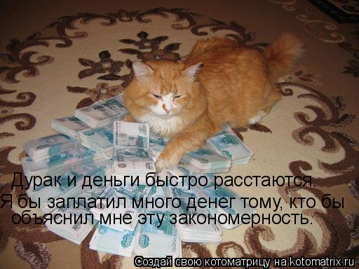 Дурак и деньги быстро расстаются. Я бы заплатил много денег тому, кто бы объяснил мне эту закономерн... Котоматрица: Дурак и деньги быстро расстаются. Я бы заплатил много денег тому, кто бы объяснил мне эту закономерность.