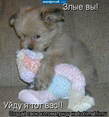 Злые вы! Уйду я тот вас!!... Котоматрица: Злые вы! Уйду я тот вас!!