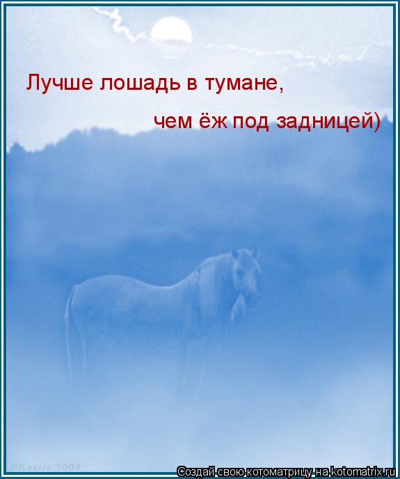 Котоматрица: чем ёж под задницей) Лучше лошадь в тумане,