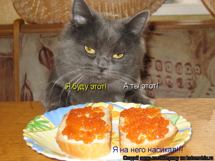 А ты этот! Я буду этот! Я на него насикал!!!... Котоматрица: А ты этот! Я буду этот! Я на него насикал!!!