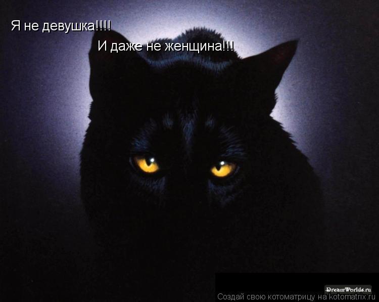Я не девушка!!!! И даже не женщина!!!... Котоматрица: Я не девушка!!!! И даже не женщина!!!