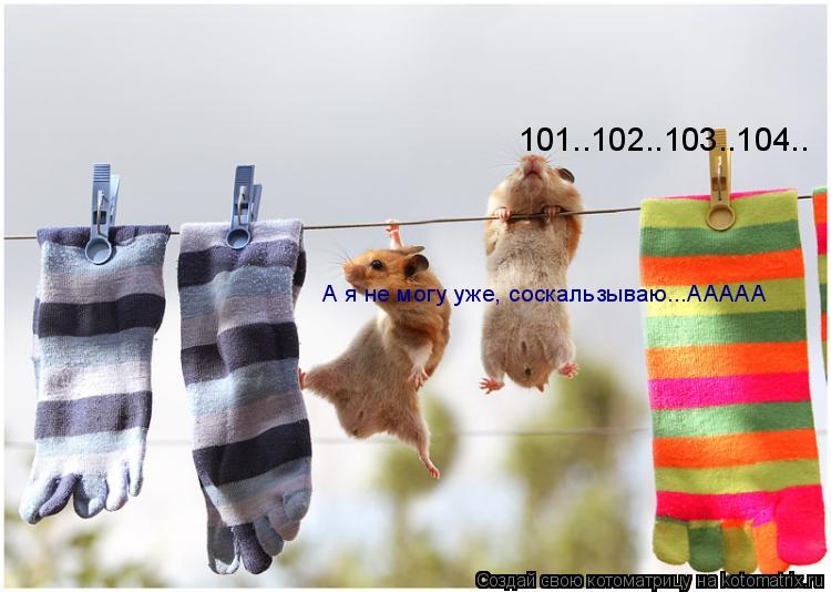 101..102..103..104.. А я не могу уже, соскальзываю...ААААА... Котоматрица: 101..102..103..104.. А я не могу уже, соскальзываю...ААААА