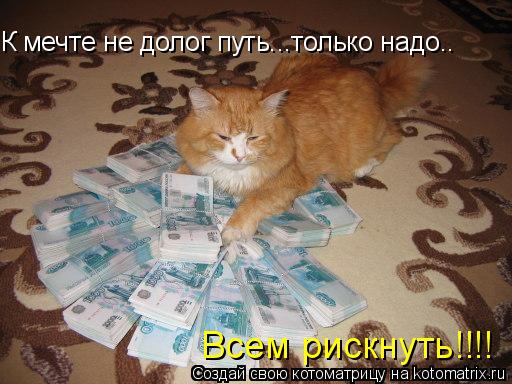 К мечте не долог путь...только надо.. Всем рискнуть!!!!... Котоматрица: К мечте не долог путь...только надо.. Всем рискнуть!!!!