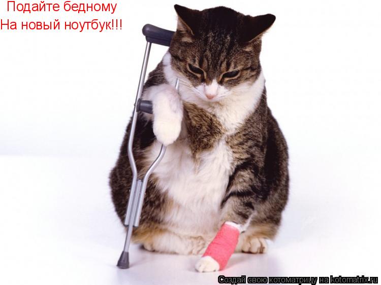 Подайте бедному На новый ноутбук!!!... Котоматрица: Подайте бедному На новый ноутбук!!!