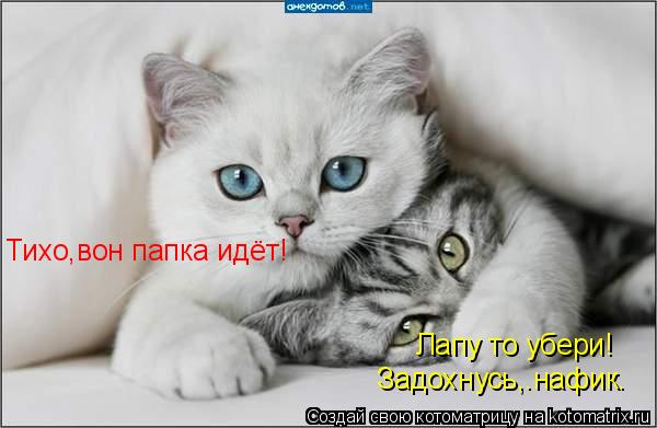 Тихо,вон папка идёт! Лапу то убери! Задохнусь,.нафик.... Котоматрица: Тихо,вон папка идёт! Лапу то убери! Задохнусь,.нафик.