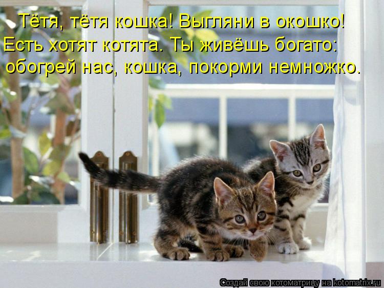 Тётя, тётя кошка! Выгляни в окошко! Есть хотят котята. Ты живёшь богато: обогрей нас, кошка, покорми ... Котоматрица: Тётя, тётя кошка! Выгляни в окошко! Есть хотят котята. Ты живёшь богато: обогрей нас, кошка, покорми немножко.