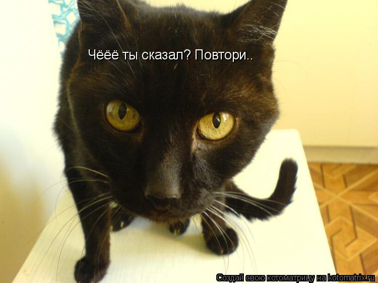 Чёёё ты сказал? Повтори..... Котоматрица: Чёёё ты сказал? Повтори..