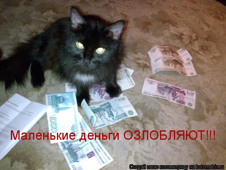 Маленькие деньги ОЗЛОБЛЯЮТ!!!... Котоматрица: Маленькие деньги ОЗЛОБЛЯЮТ!!!