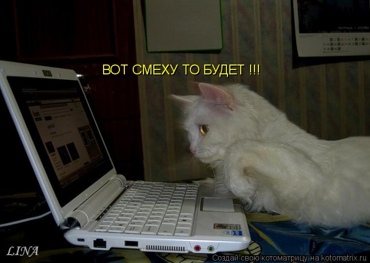 ВОТ СМЕХУ ТО БУДЕТ !!!... Котоматрица: ВОТ СМЕХУ ТО БУДЕТ !!!
