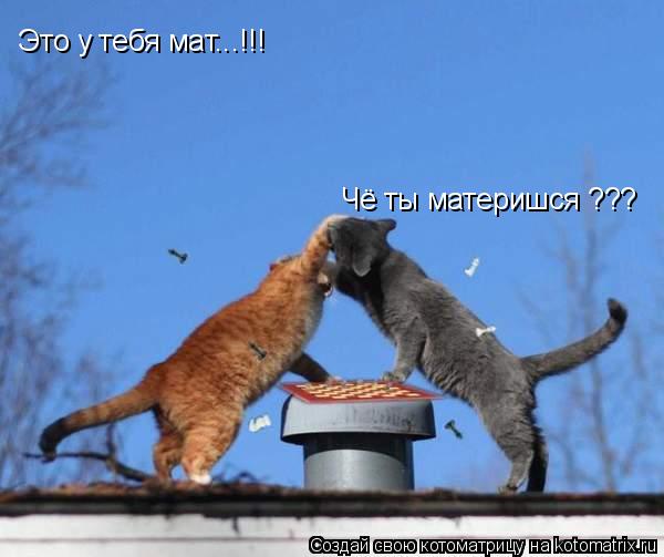 Это у тебя мат...!!! Чё ты материшся ???... Котоматрица: Это у тебя мат...!!! Чё ты материшся ???