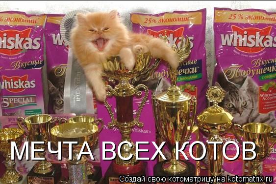 МЕЧТА ВСЕХ КОТОВ... Котоматрица: МЕЧТА ВСЕХ КОТОВ