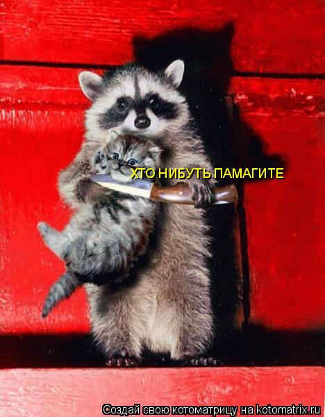 ХТО НИБУТЬ ПАМАГИТЕ... Котоматрица: ХТО НИБУТЬ ПАМАГИТЕ