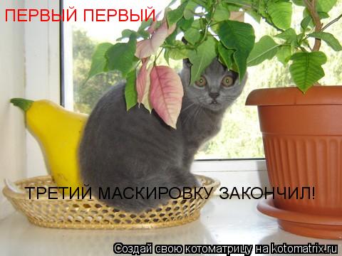 ПЕРВЫЙ ПЕРВЫЙ ТРЕТИЙ МАСКИРОВКУ ЗАКОНЧИЛ!... Котоматрица: ПЕРВЫЙ ПЕРВЫЙ ТРЕТИЙ МАСКИРОВКУ ЗАКОНЧИЛ!