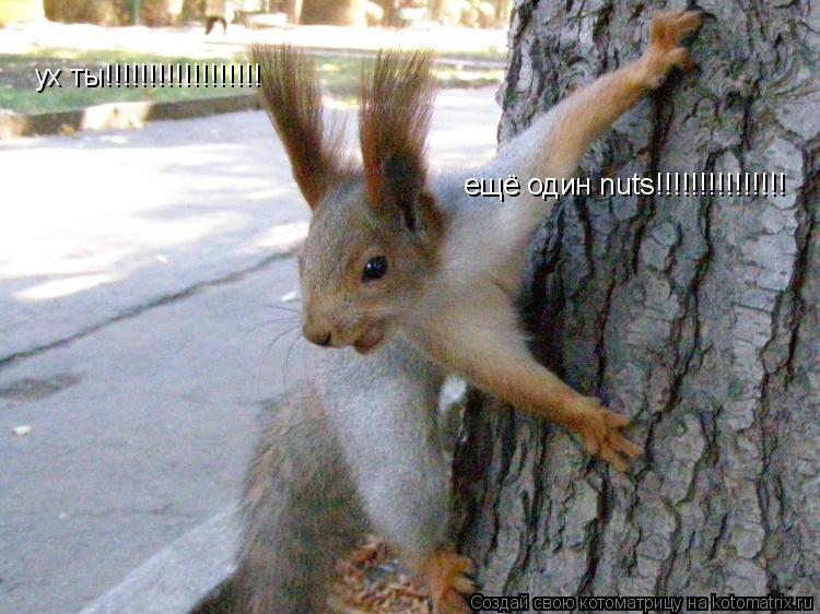 ух ты!!!!!!!!!!!!!!!!!! ещё один nuts!!!!!!!!!!!!!!!... Котоматрица: ух ты!!!!!!!!!!!!!!!!!! ещё один nuts!!!!!!!!!!!!!!!
