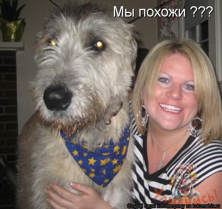 Мы похожи ???... Котоматрица: Мы похожи ???