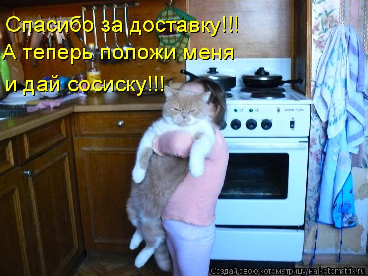 Котоматрица: Спасибо за доставку!!! А теперь положи меня  и дай сосиску!!!