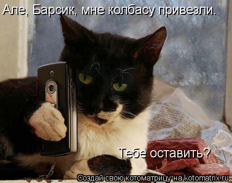 Але, Барсик, мне колбасу привезли. Тебе оставить?... Котоматрица: Але, Барсик, мне колбасу привезли. Тебе оставить?