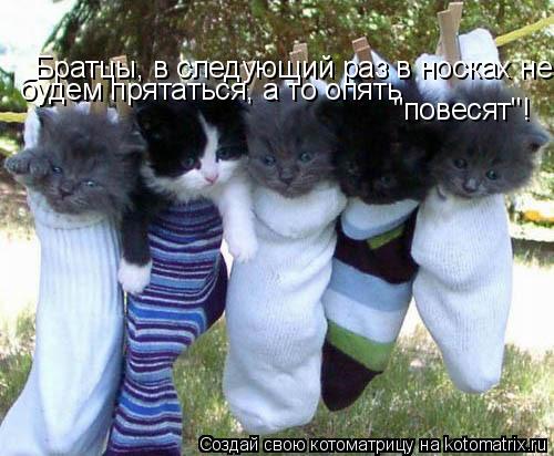 Братцы, в следующий раз в носках не прячимся! А то опят "повесят"! будем прятаться, а то опять "повес... Котоматрица: Братцы, в следующий раз в носках не прячимся! А то опят "повесят"! будем прятаться, а то опять "повесят"!