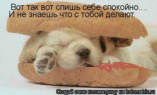 Вот так вот спишь себе спокойно.... И не знаешь что с тобой делают.... Котоматрица: Вот так вот спишь себе спокойно.... И не знаешь что с тобой делают.