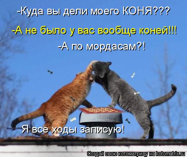 -Куда вы дели моего КОНЯ??? -А не было у вас вообще коней!!! -А по мордасам?! Я все ходы записую!... Котоматрица: -Куда вы дели моего КОНЯ??? -А не было у вас вообще коней!!! -А по мордасам?! Я все ходы записую!