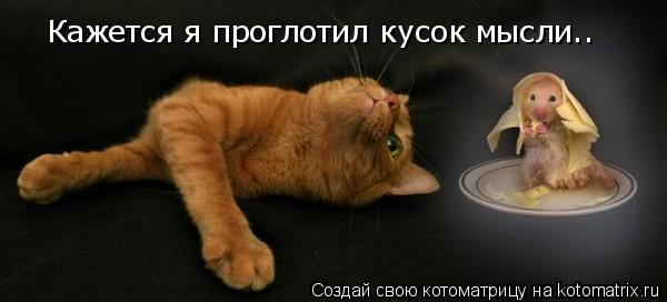 Кажется я проглотил кусок мысли..... Котоматрица: Кажется я проглотил кусок мысли..