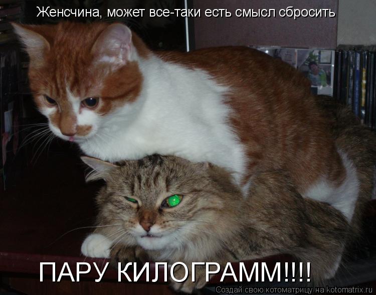 Женсчина, может все-таки есть смысл сбросить ПАРУ КИЛОГРАММ!!!!... Котоматрица: Женсчина, может все-таки есть смысл сбросить ПАРУ КИЛОГРАММ!!!!