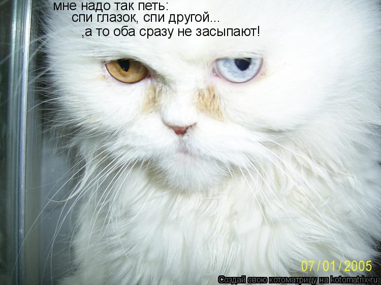 мне надо так петь: спи глазок, спи другой... ,а то оба сразу не засыпают!... Котоматрица: мне надо так петь: спи глазок, спи другой... ,а то оба сразу не засыпают!